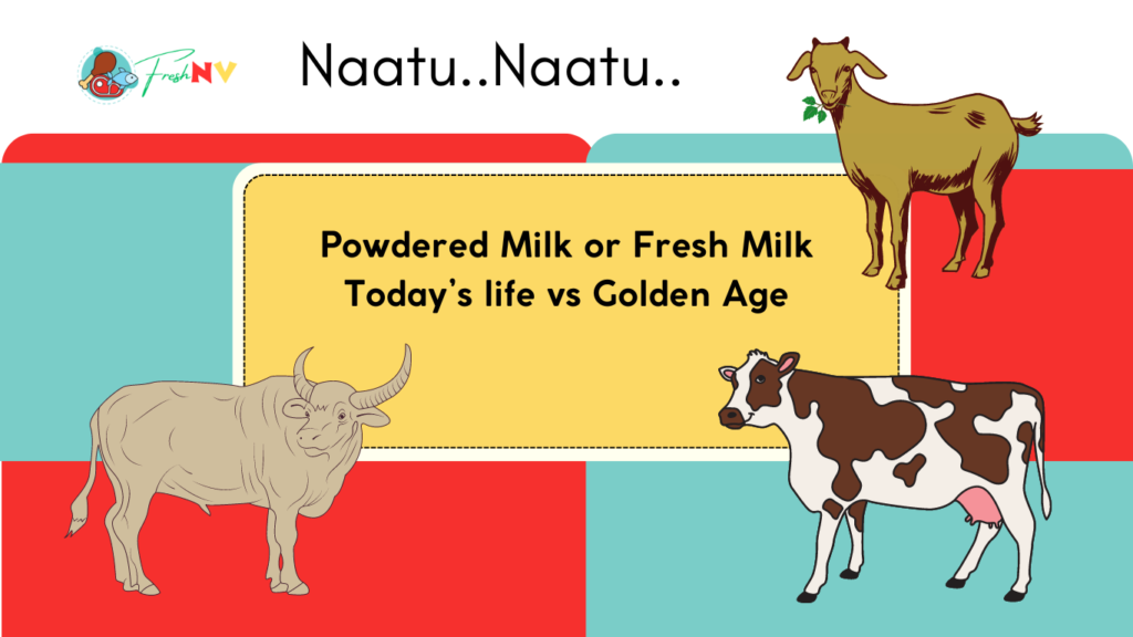 Powdered Milk or Fresh Milk - Fresh Nv